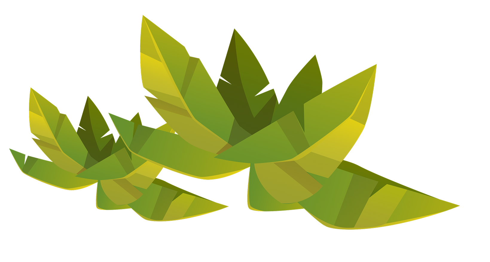 grass